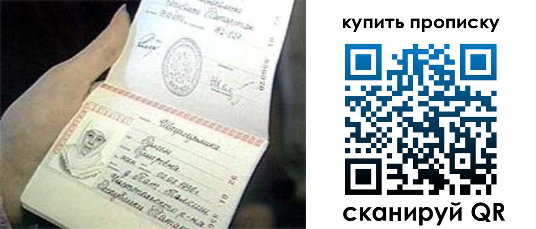 прописка поиск в Сельцо